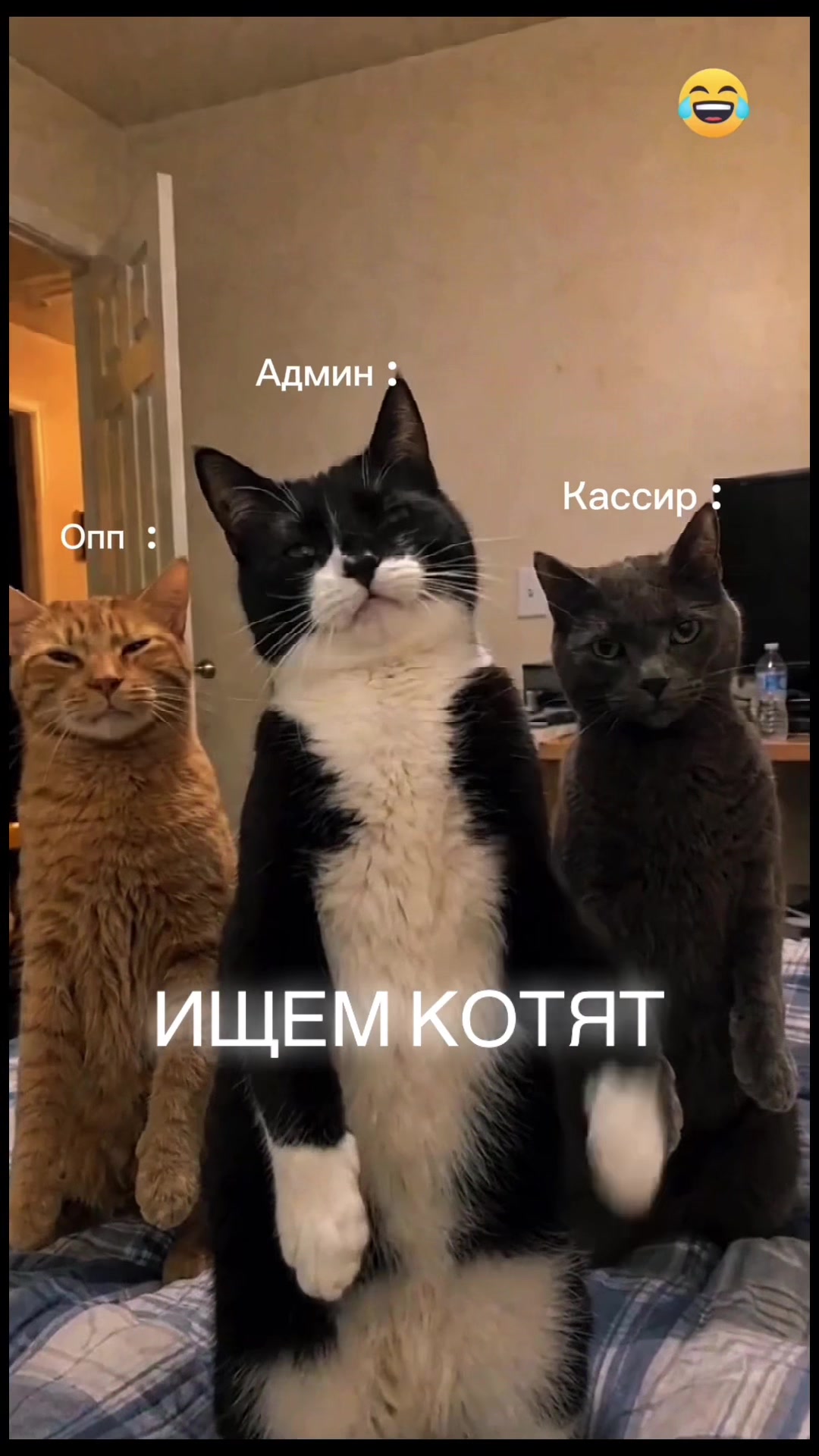 @Venera