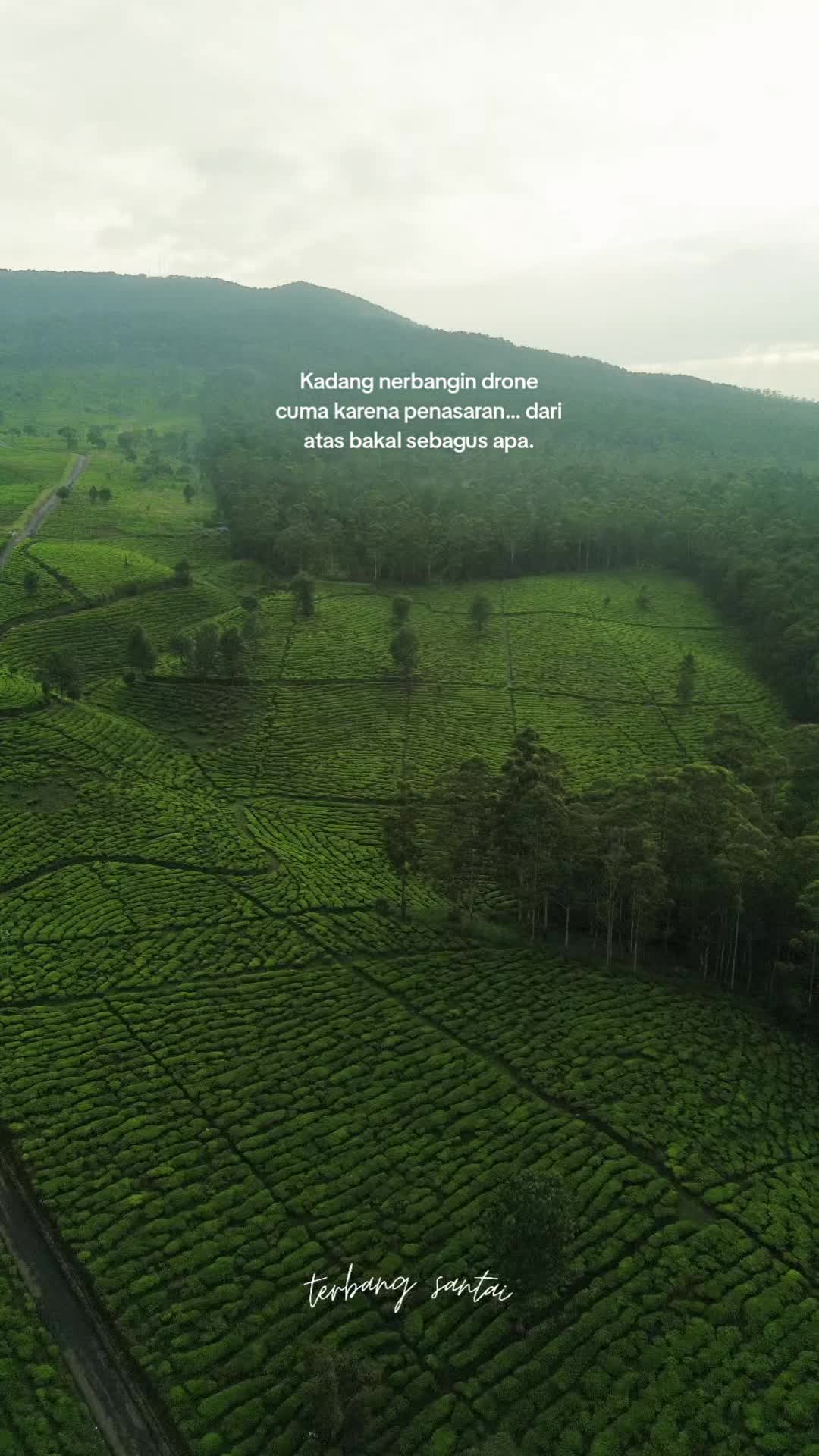 @terbang santai