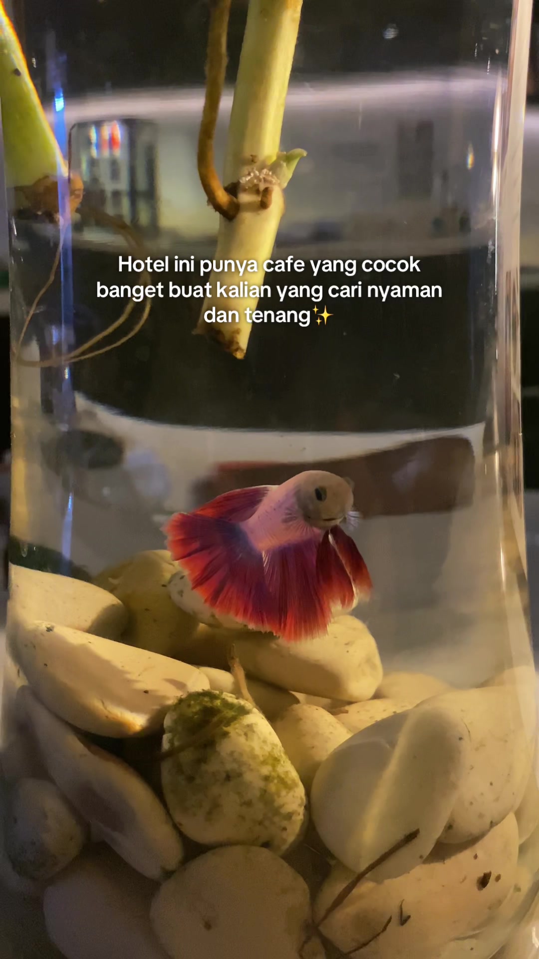 @SOBAT SURABAYA