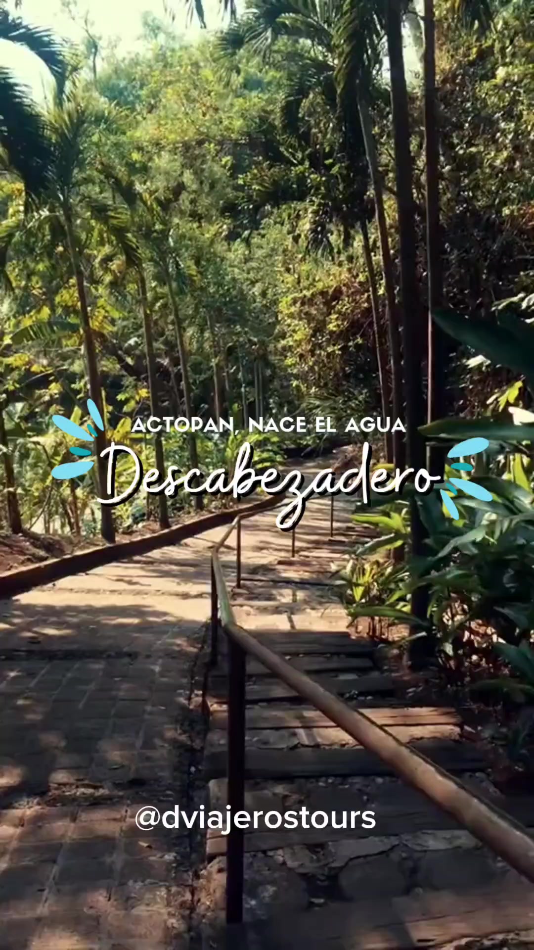 @Dviajeros tours