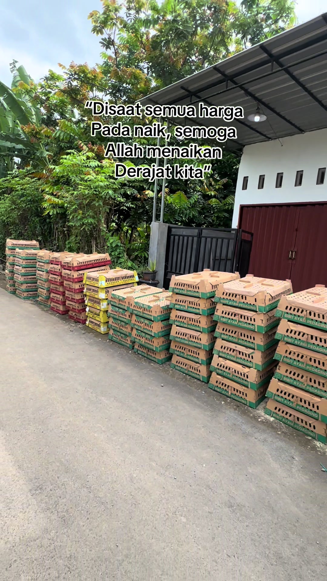 @PT BAGUS JAYA FARM