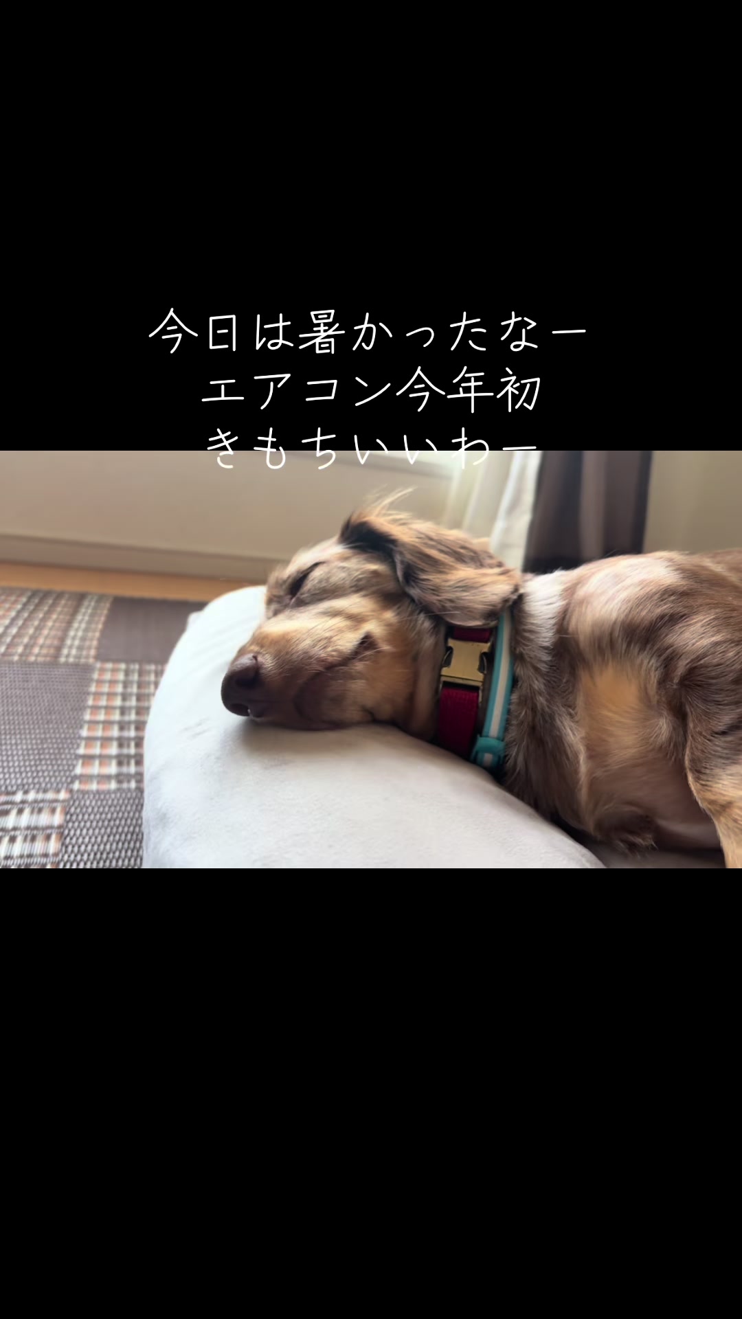 @ケン