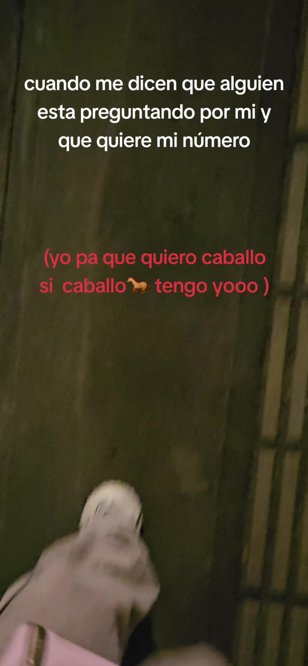 @katiavargasS91
