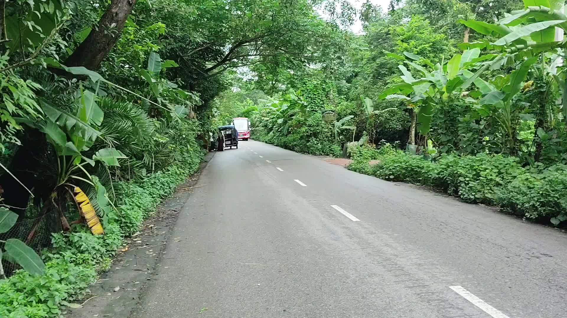 @bus lover joy