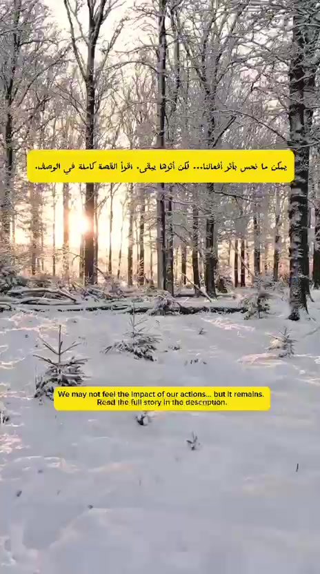 @Wehbe Daily Juice