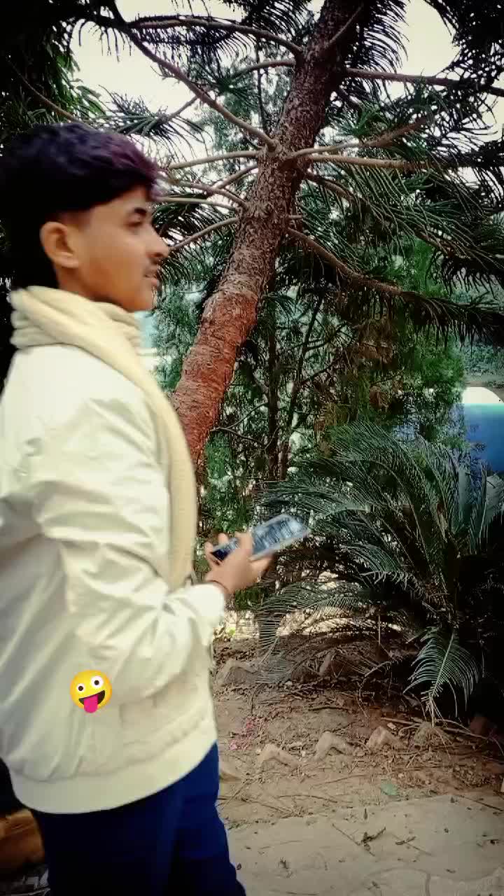 @dipnarayan