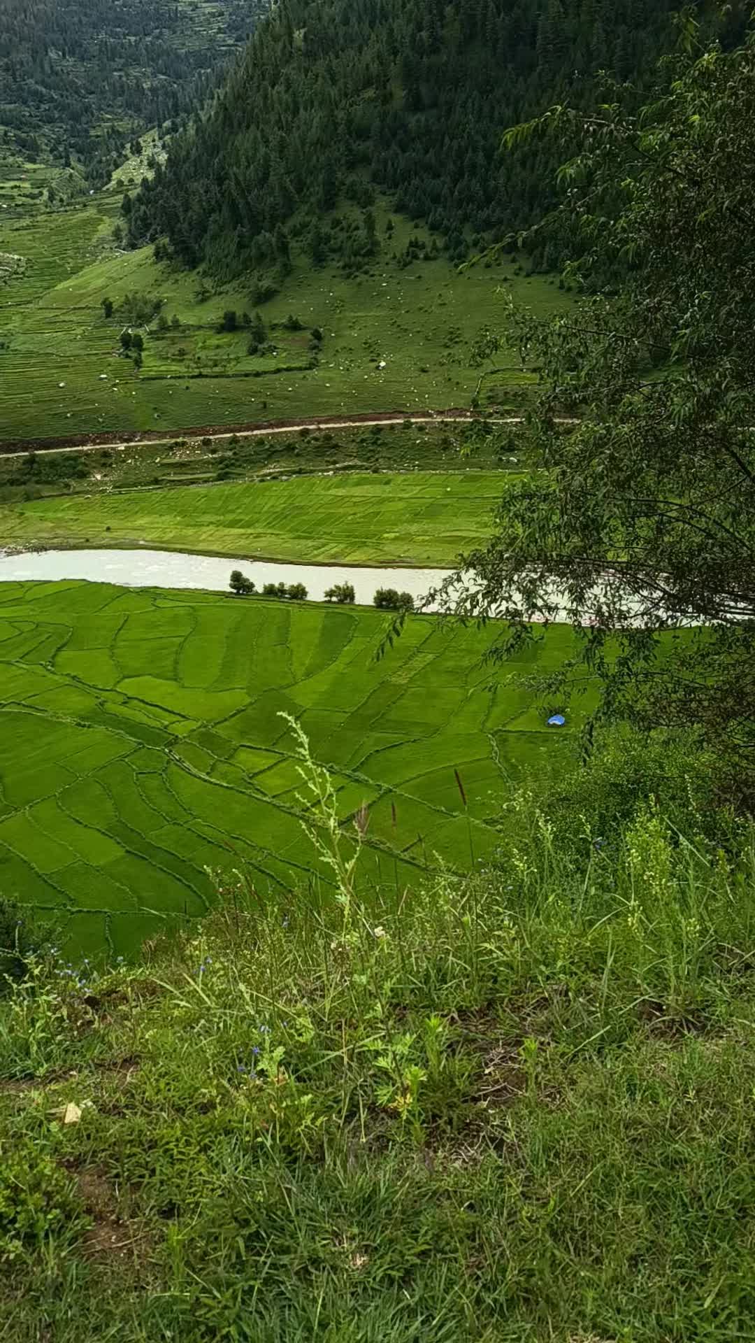 @जनक कार्की ( जुम्ली छोट्या )