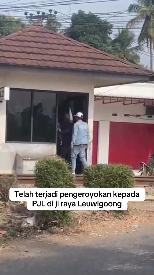@asligarut___