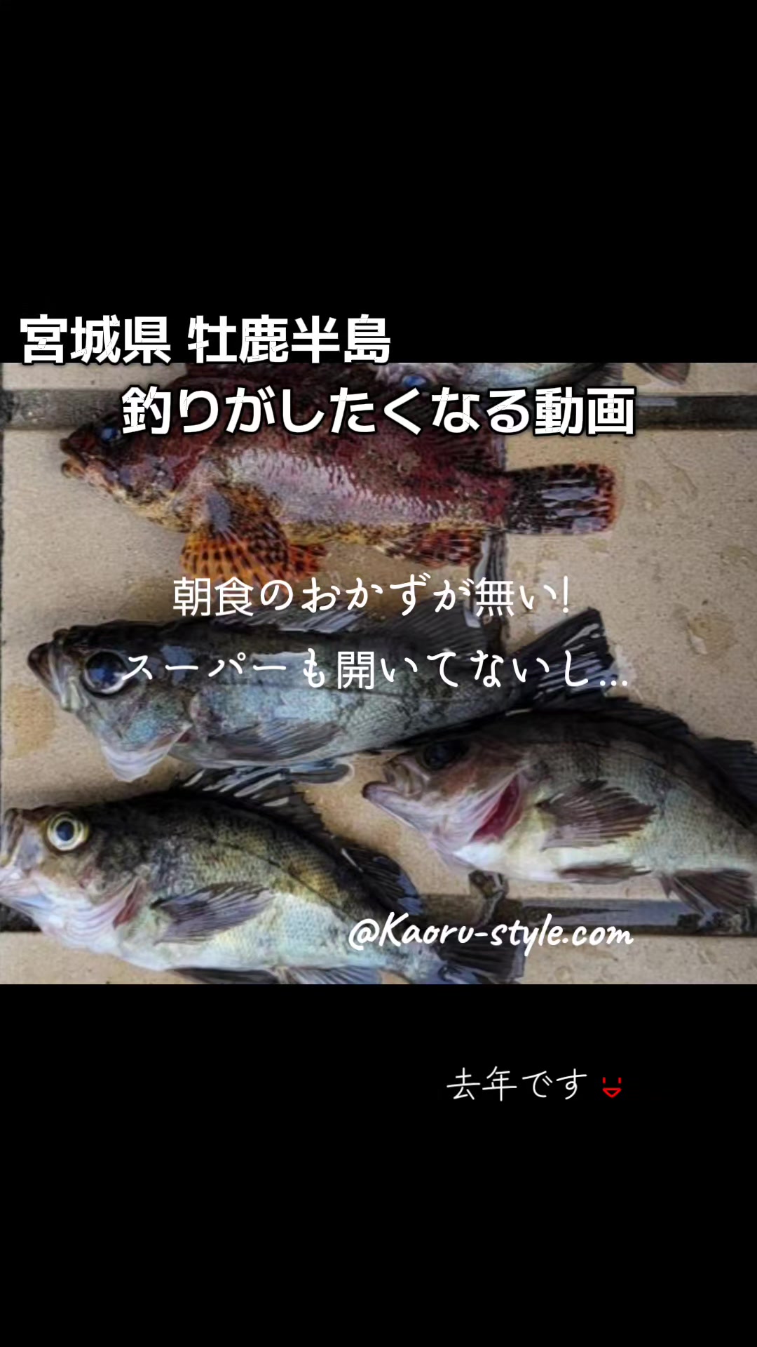 @cjカオル