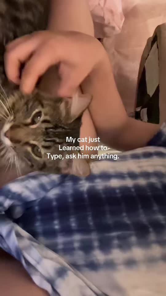 @‧˚𝄞 Ẓ̌ųƙƙî ୭ 👾 ˚. ᵎᵎ
