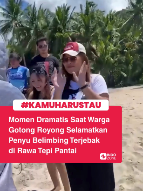 @INDOZONE