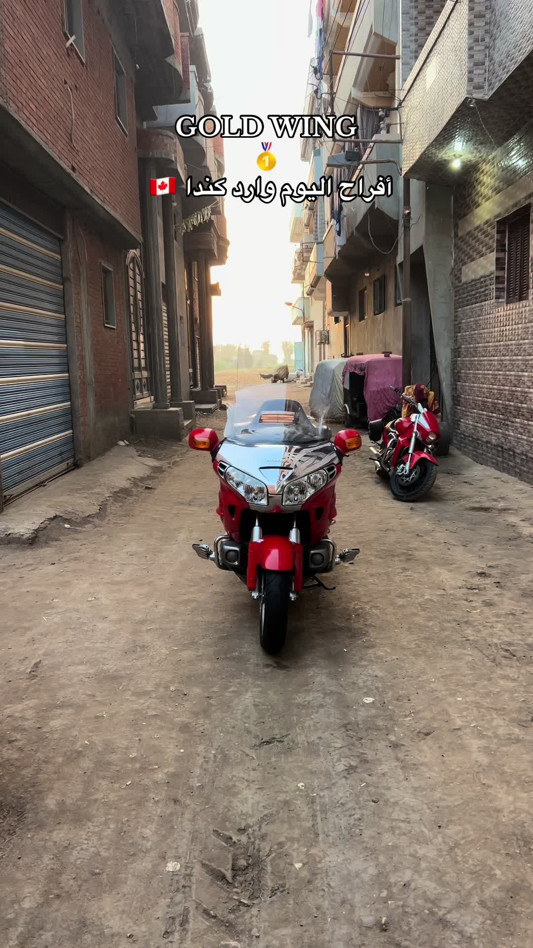 @﮼موسي﮼🦅🇪🇬