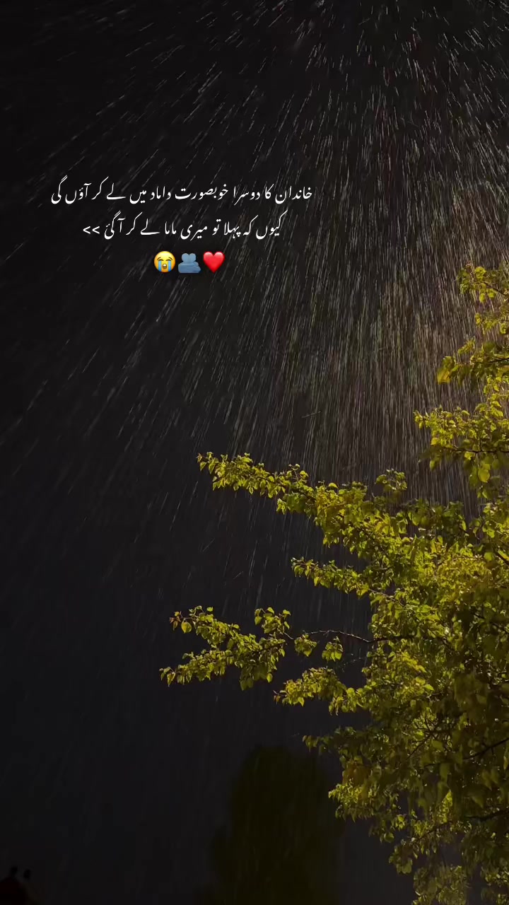 @~𝓢𝓱𝓪𝓶𝓹𝔂⏤͟͟͞͞. 𐙚⋆🌚💗