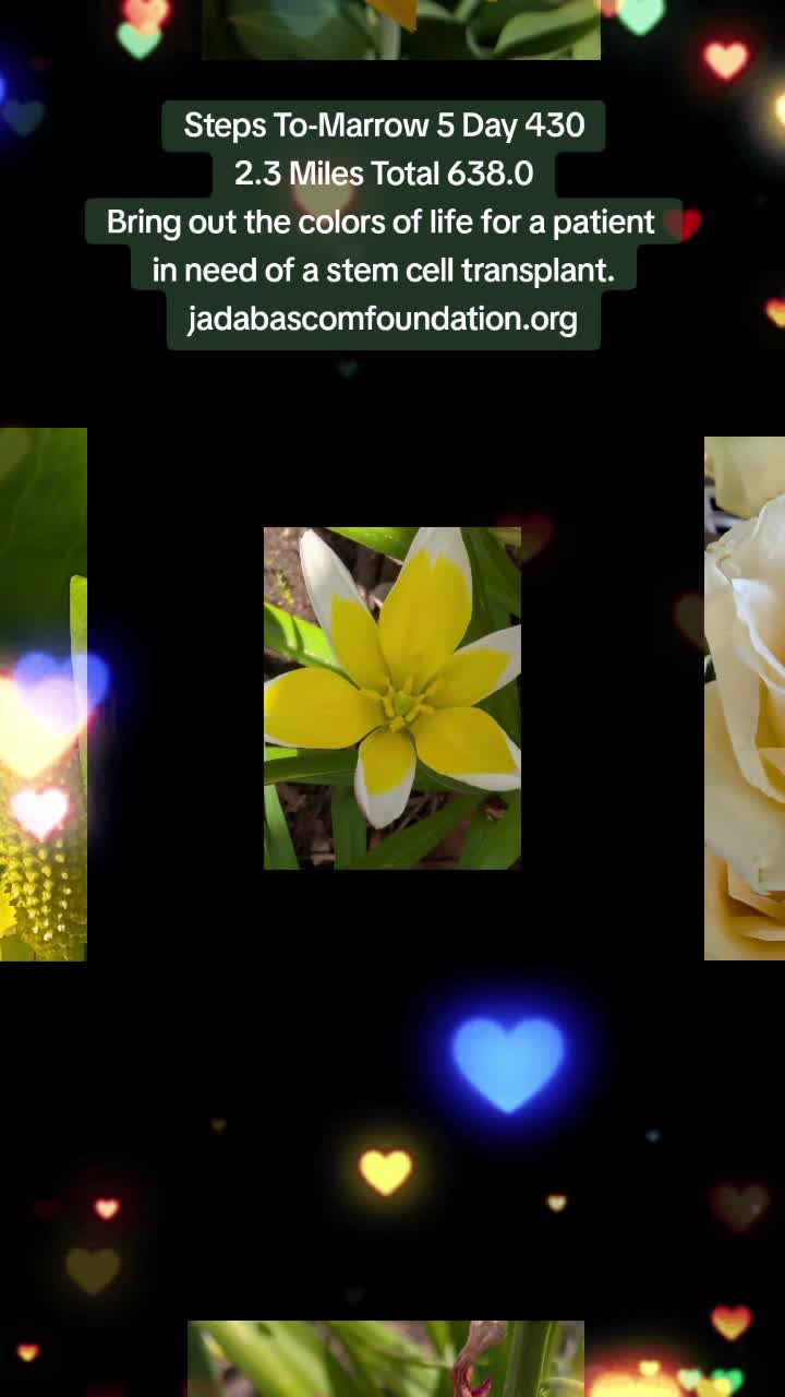 @JadaBascomFoundation