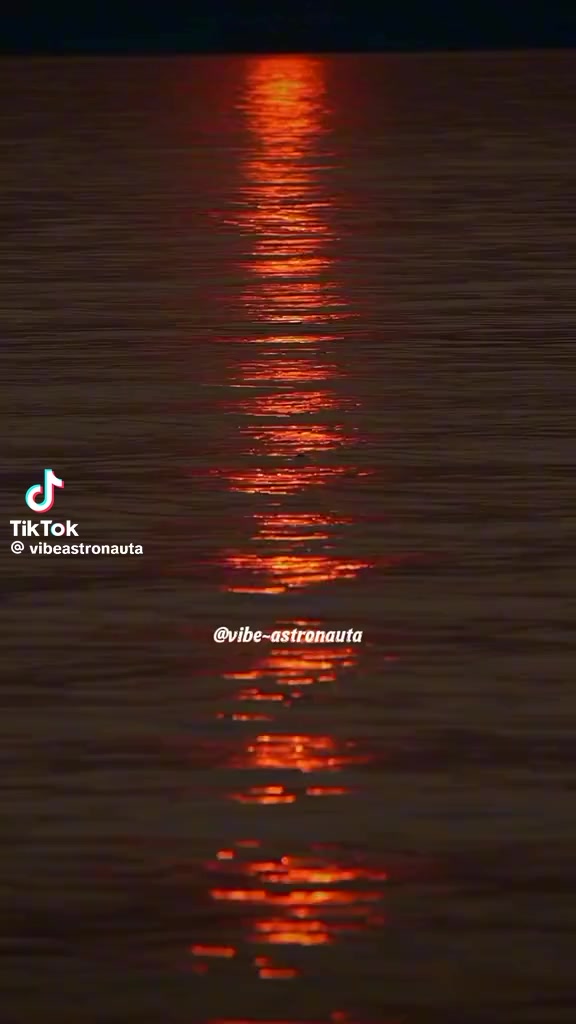 @Patrícia Lima
