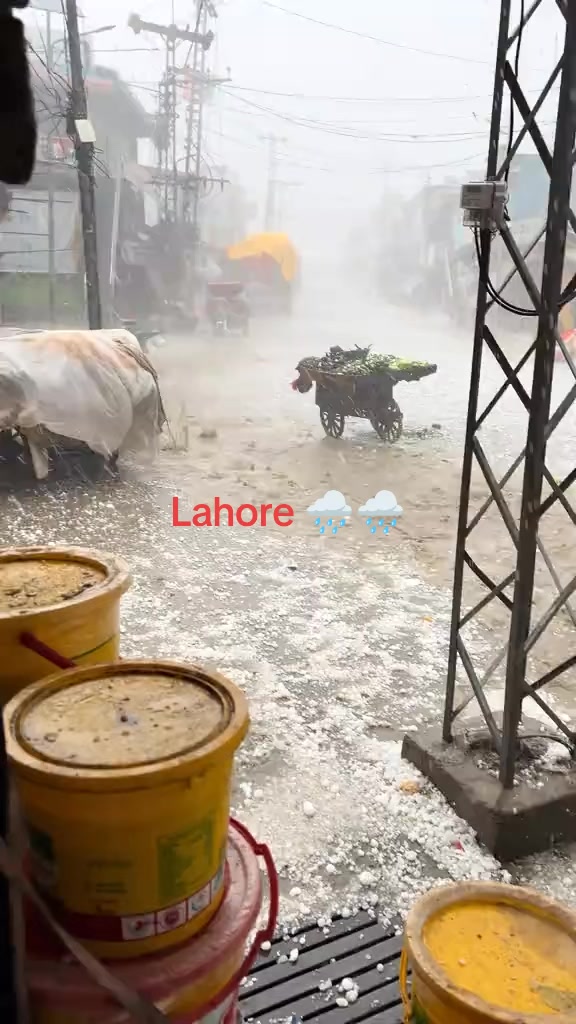 @desi boy
