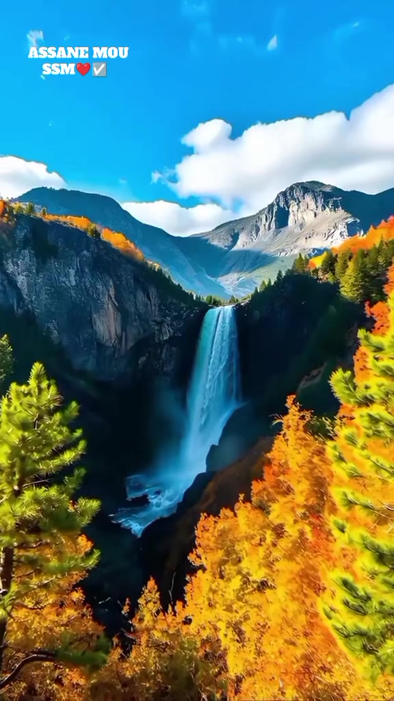 @⍟𝐀𝐒𝐒𝐀𝐍𝐄.𝐒𝐀𝐌♕✪