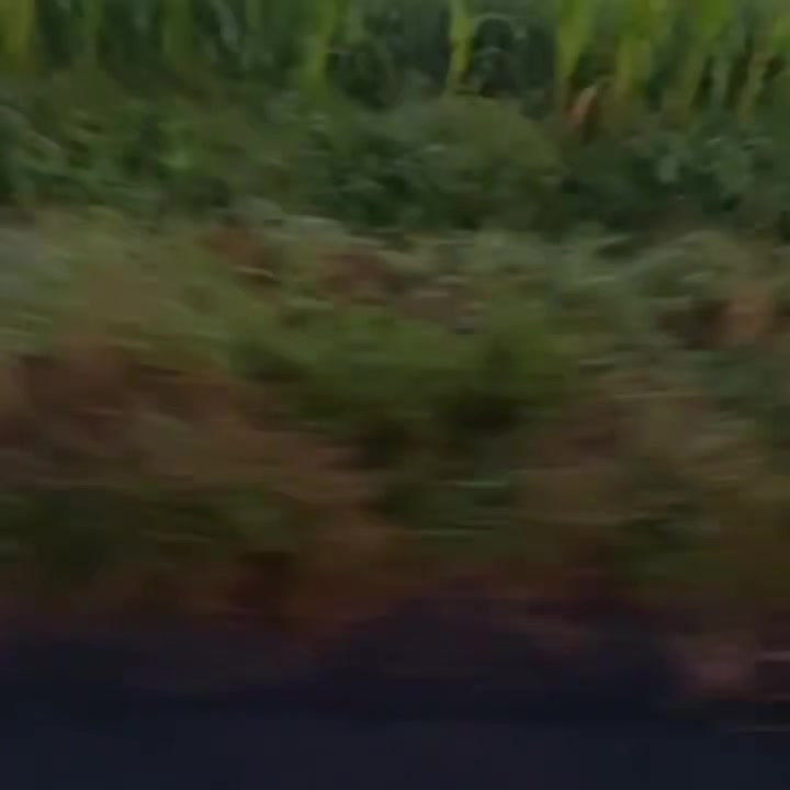 @Teguhkanhatimu