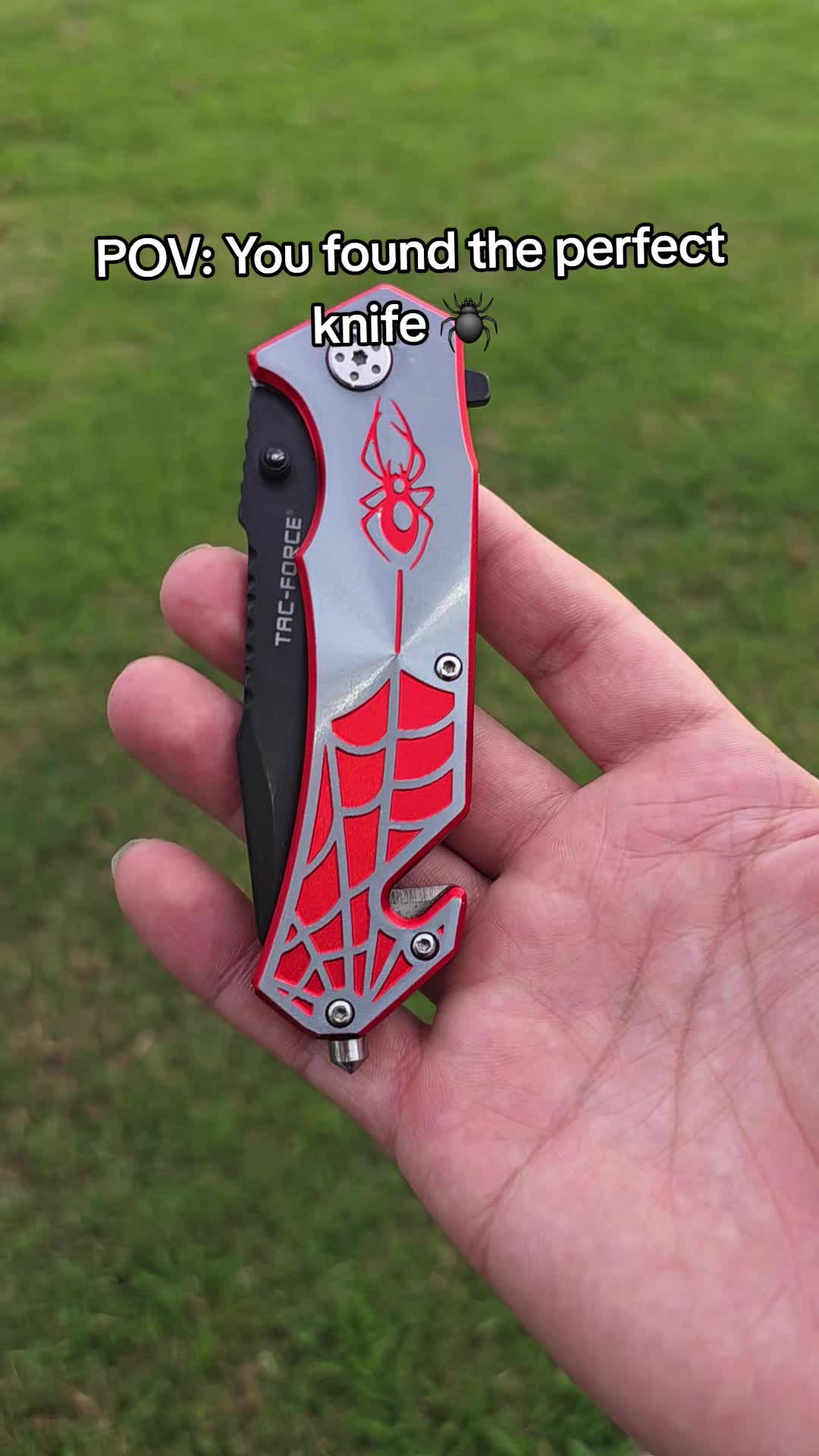 @NinjaRacoony