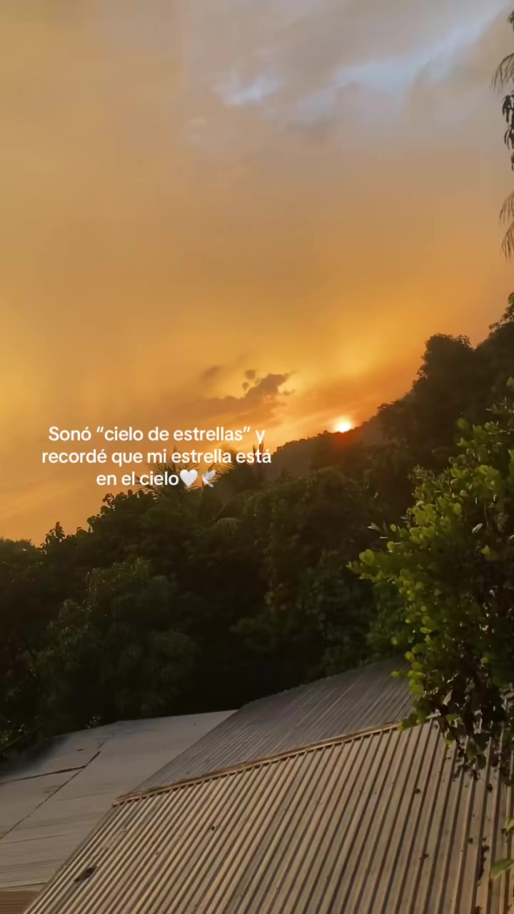 @cuenta dedicada ami angelito🪽