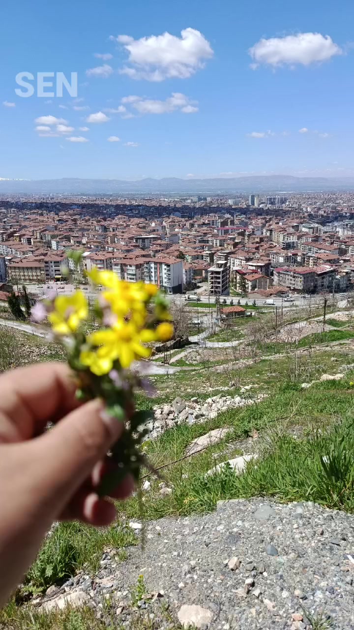 @kelebeğin R&uuml;yası 44