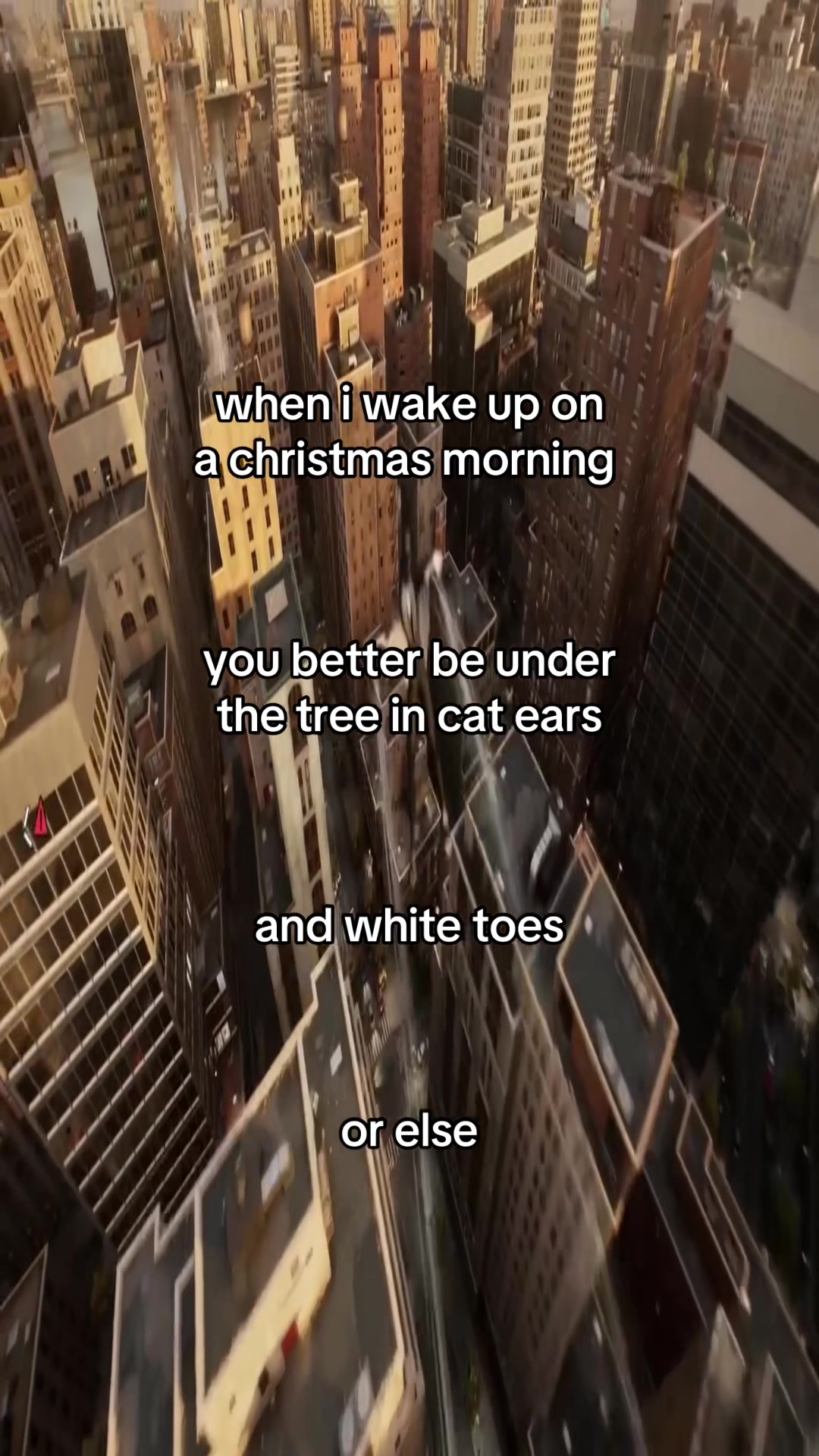 @tony