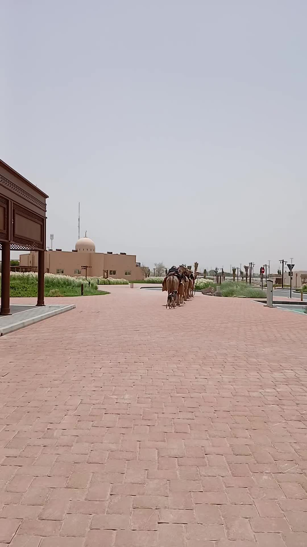 @Islamic videos