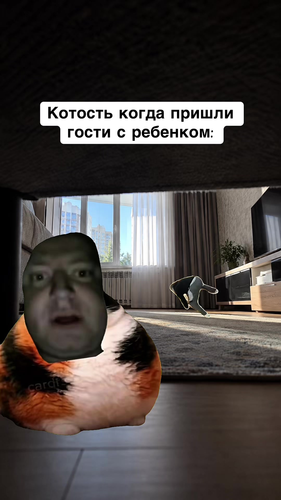@opertivnik