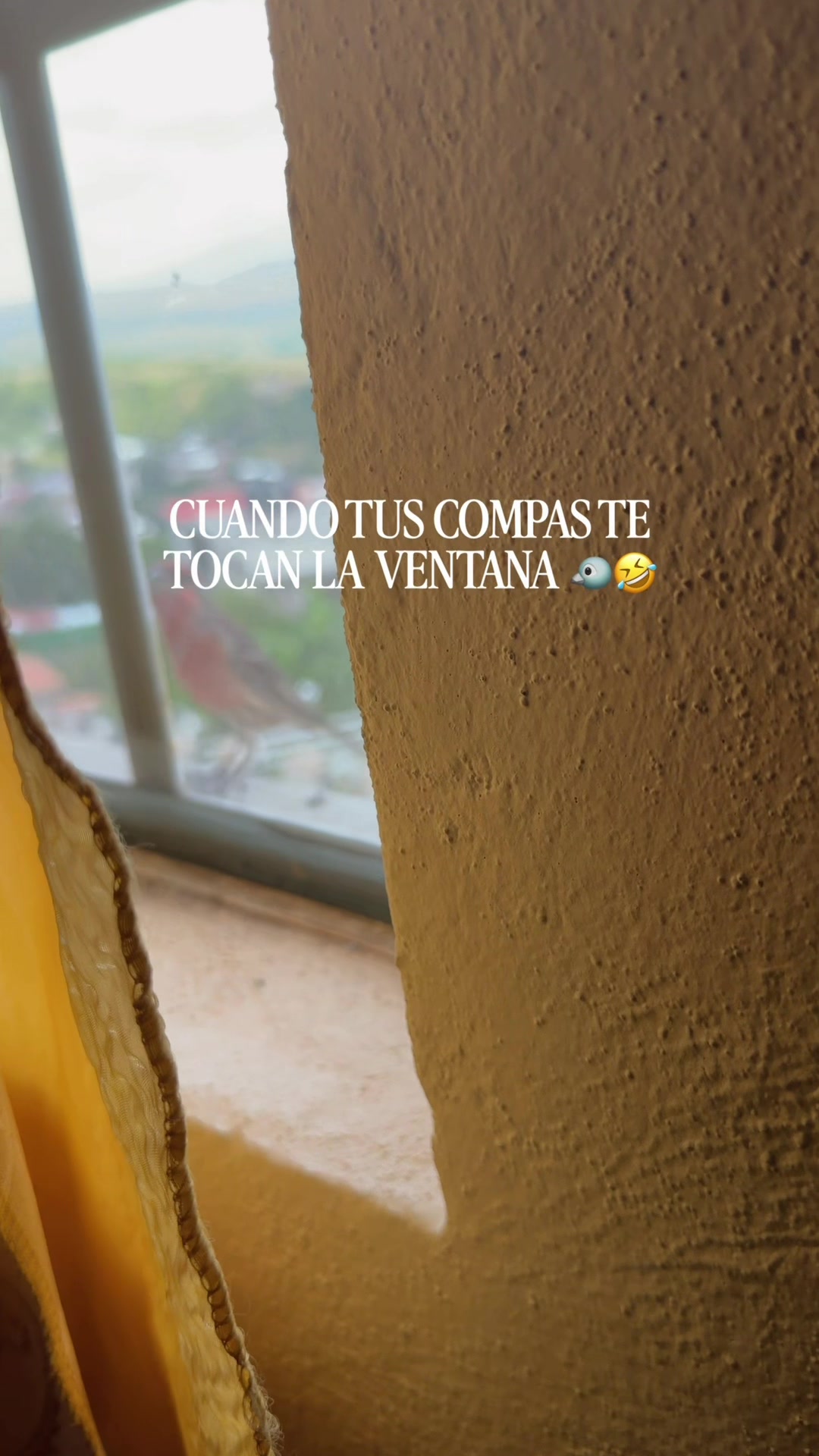 @José Kush