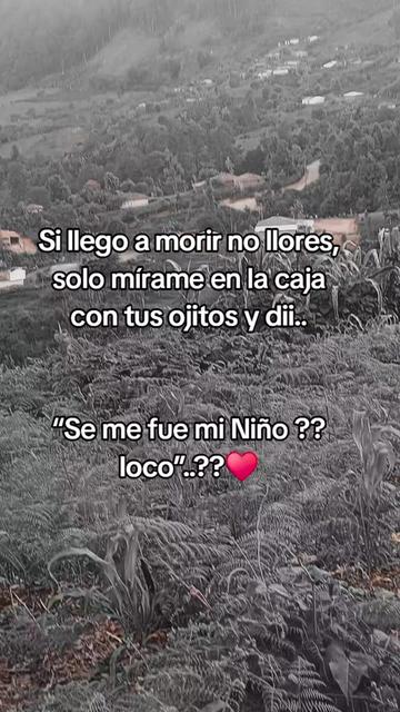 @frases 🍀🍀