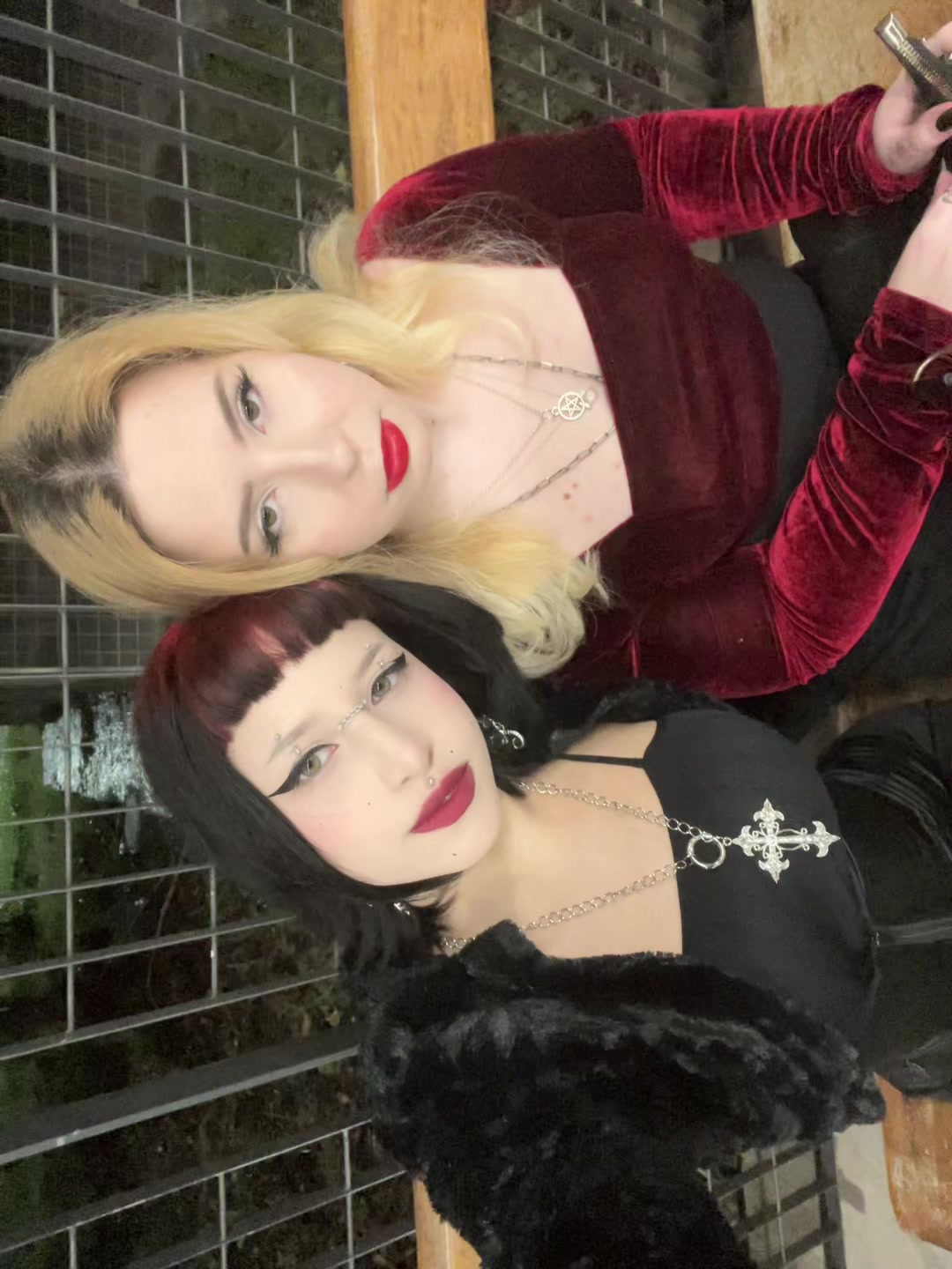 @Nora 🦇