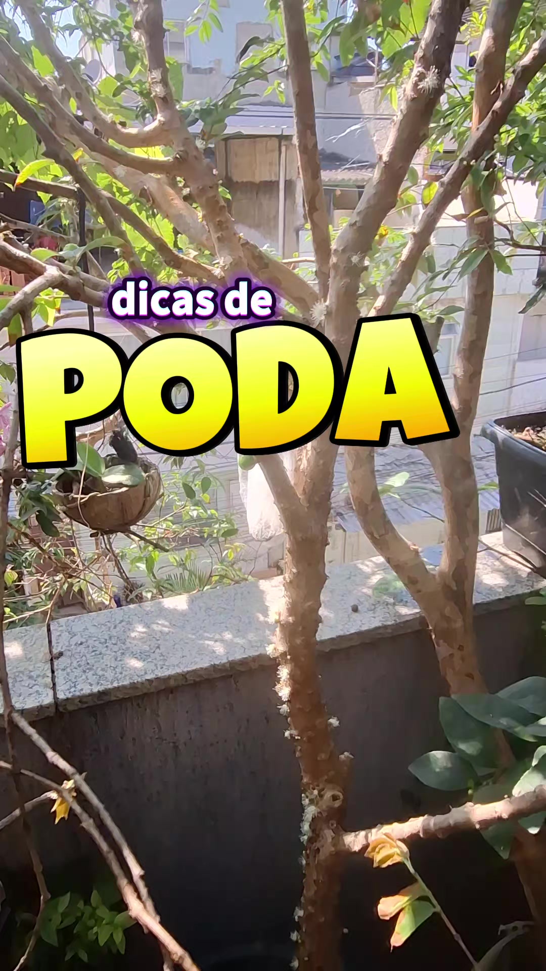 @ROÇA DO DRIM
