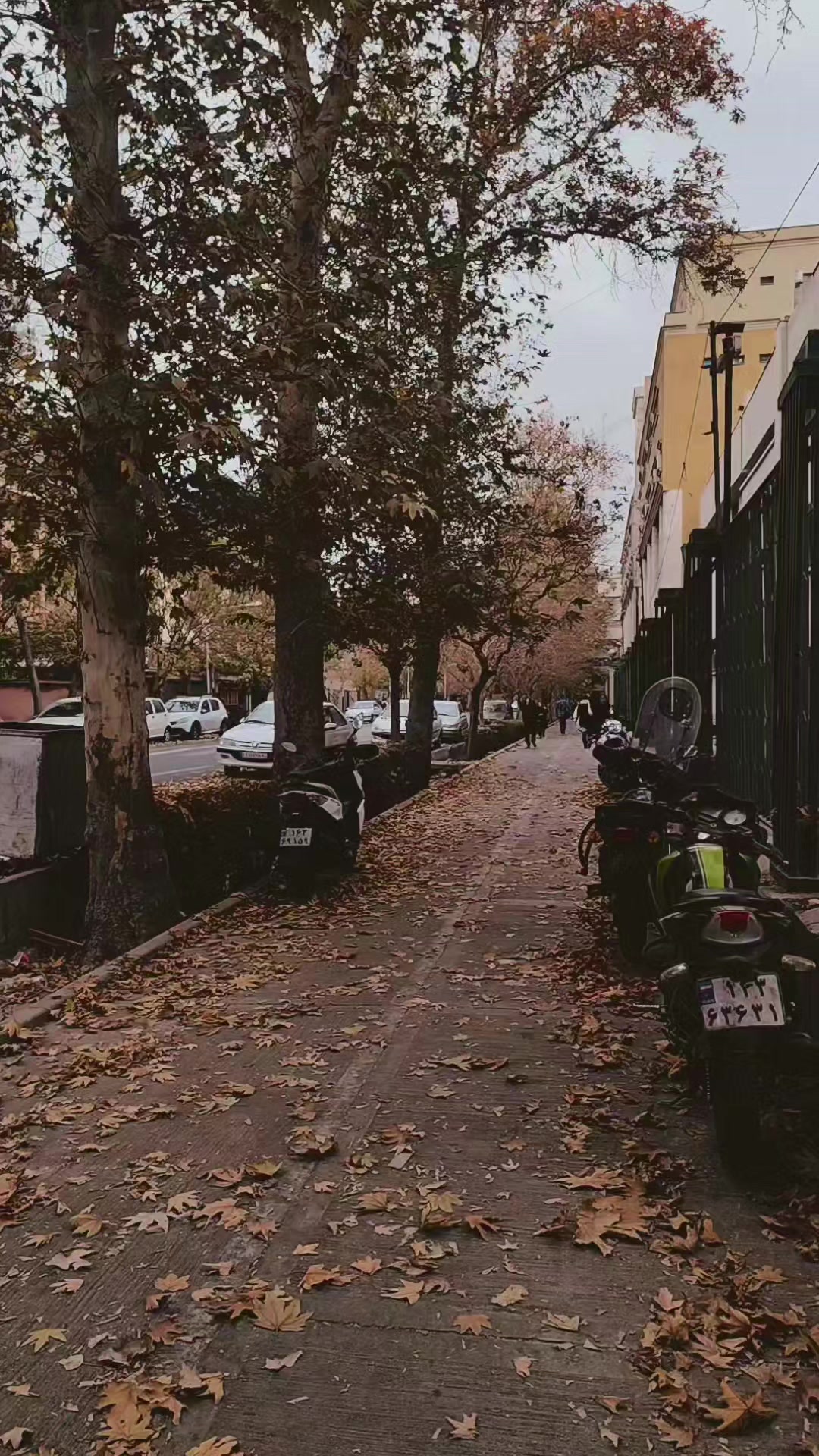 @kdbn