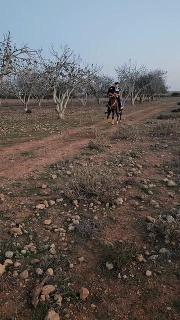 @﮼مروان ﮼الضاوي