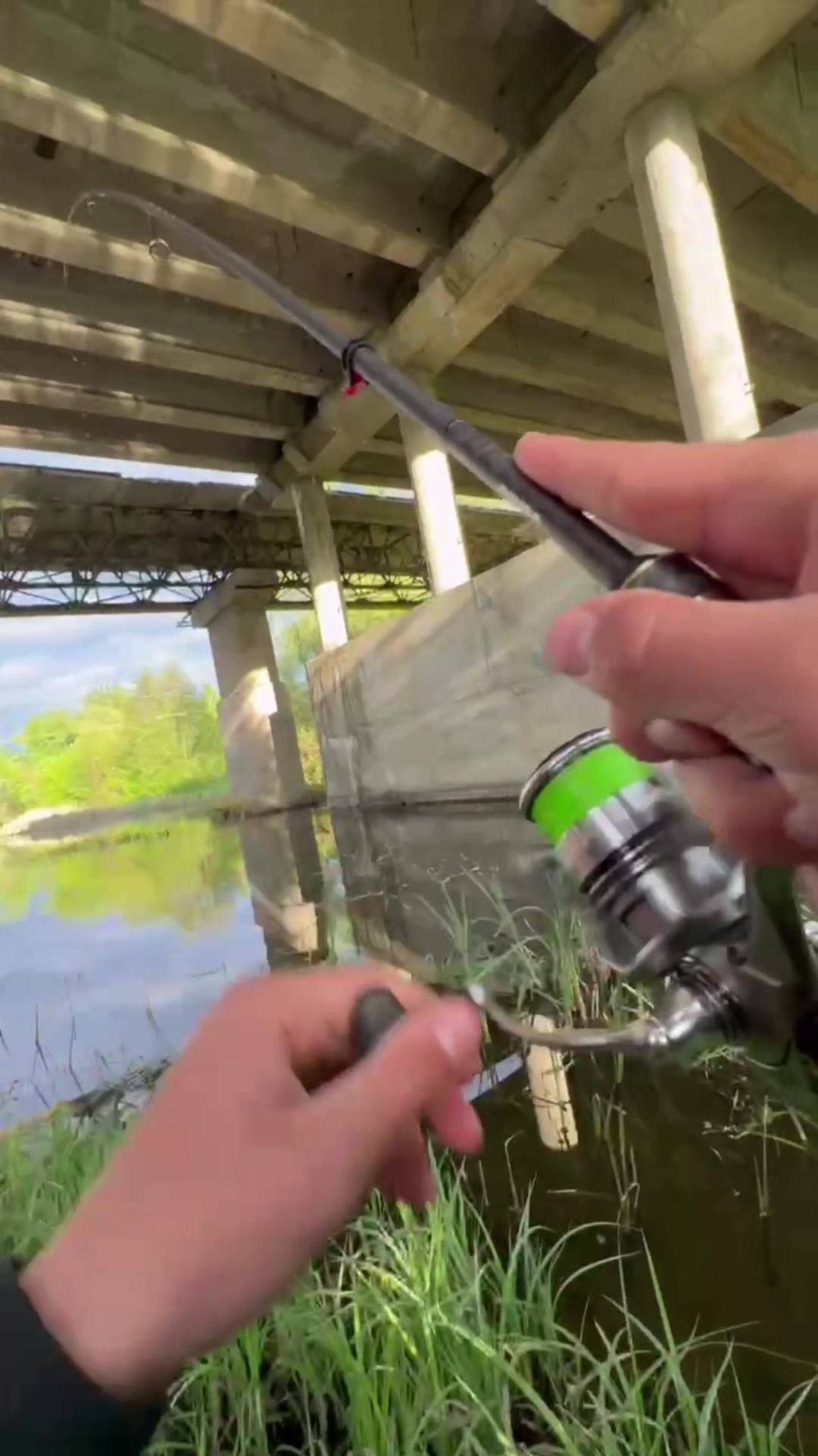 @𝗧𝗚.𝗗𝗬𝗫𝗙𝗜𝗦𝗛🎣
