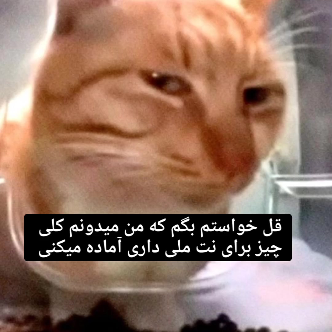 @𝑅𝒶𝓋𝑒𝓃⋆