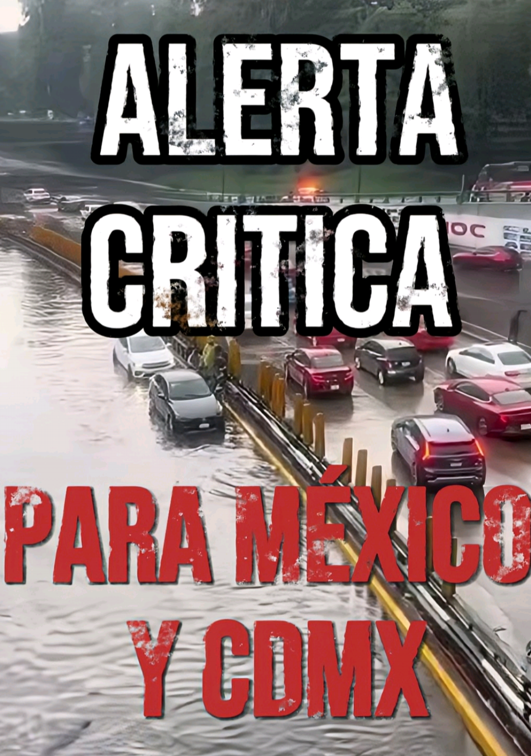 @Dr Toto en Redes | médico