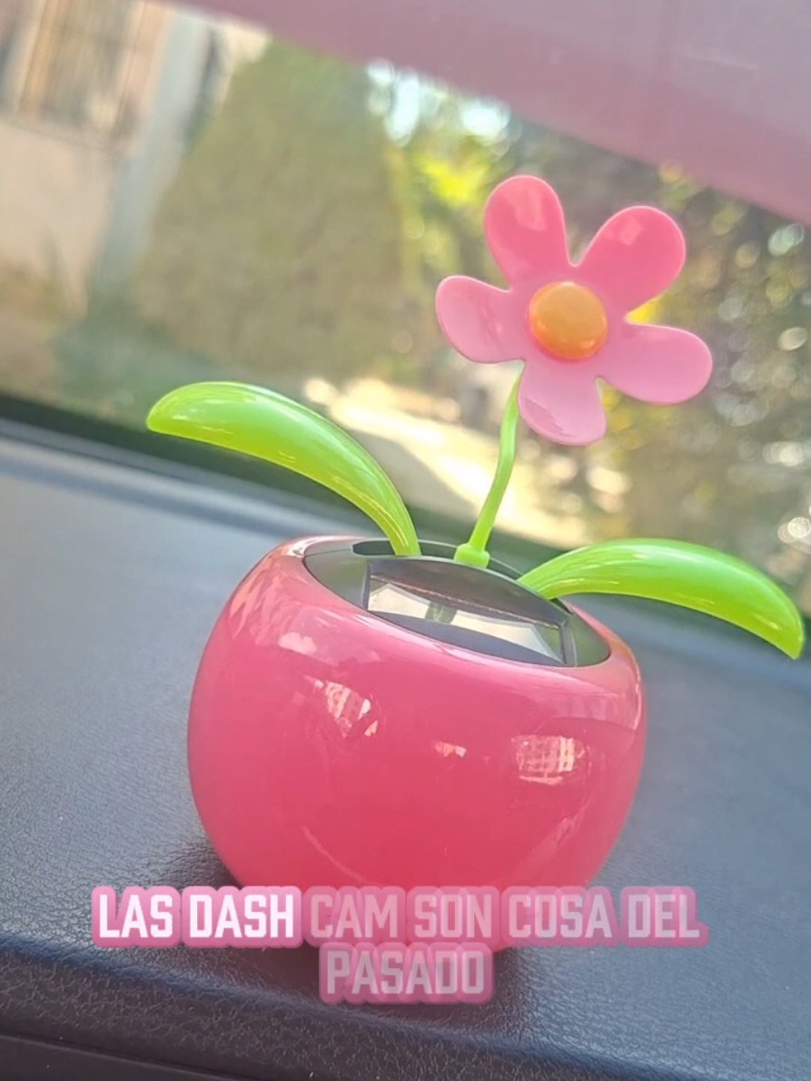 @Osiris Suarez "La Osita"