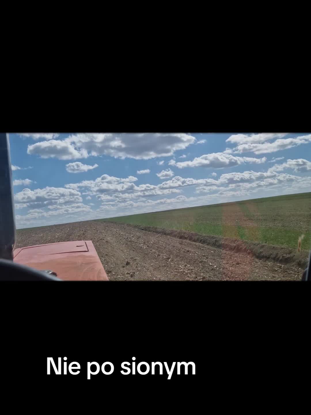 @seszunia