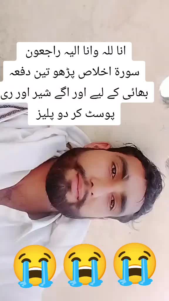 @Amir Meo