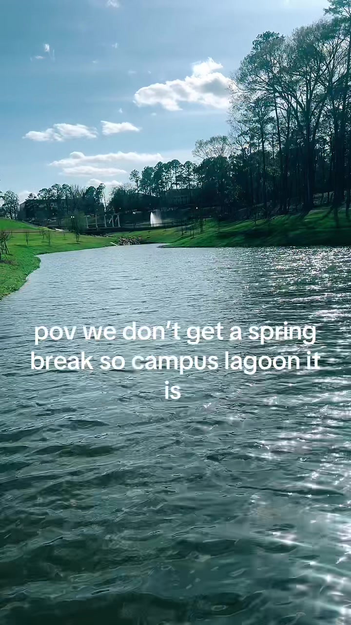 @willow!