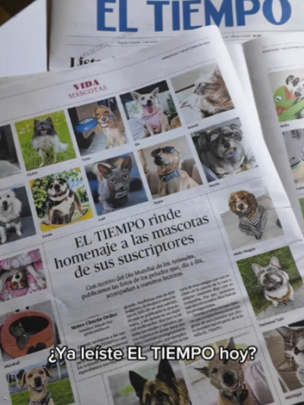 @EL TIEMPO