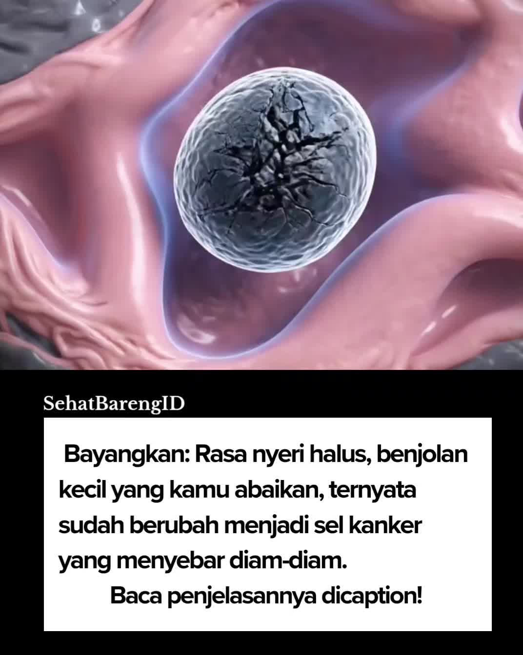 @SehatBarengID