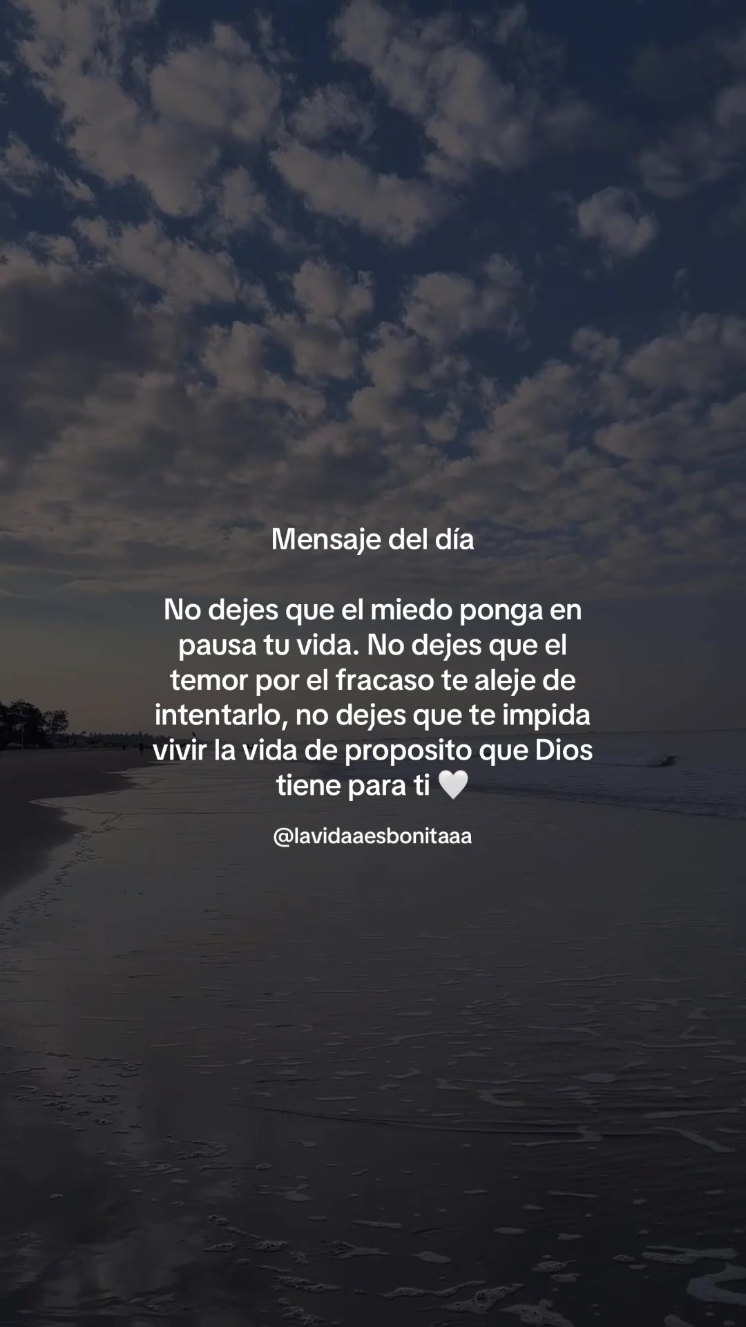 @vidabonita❤️&zwj;🩹
