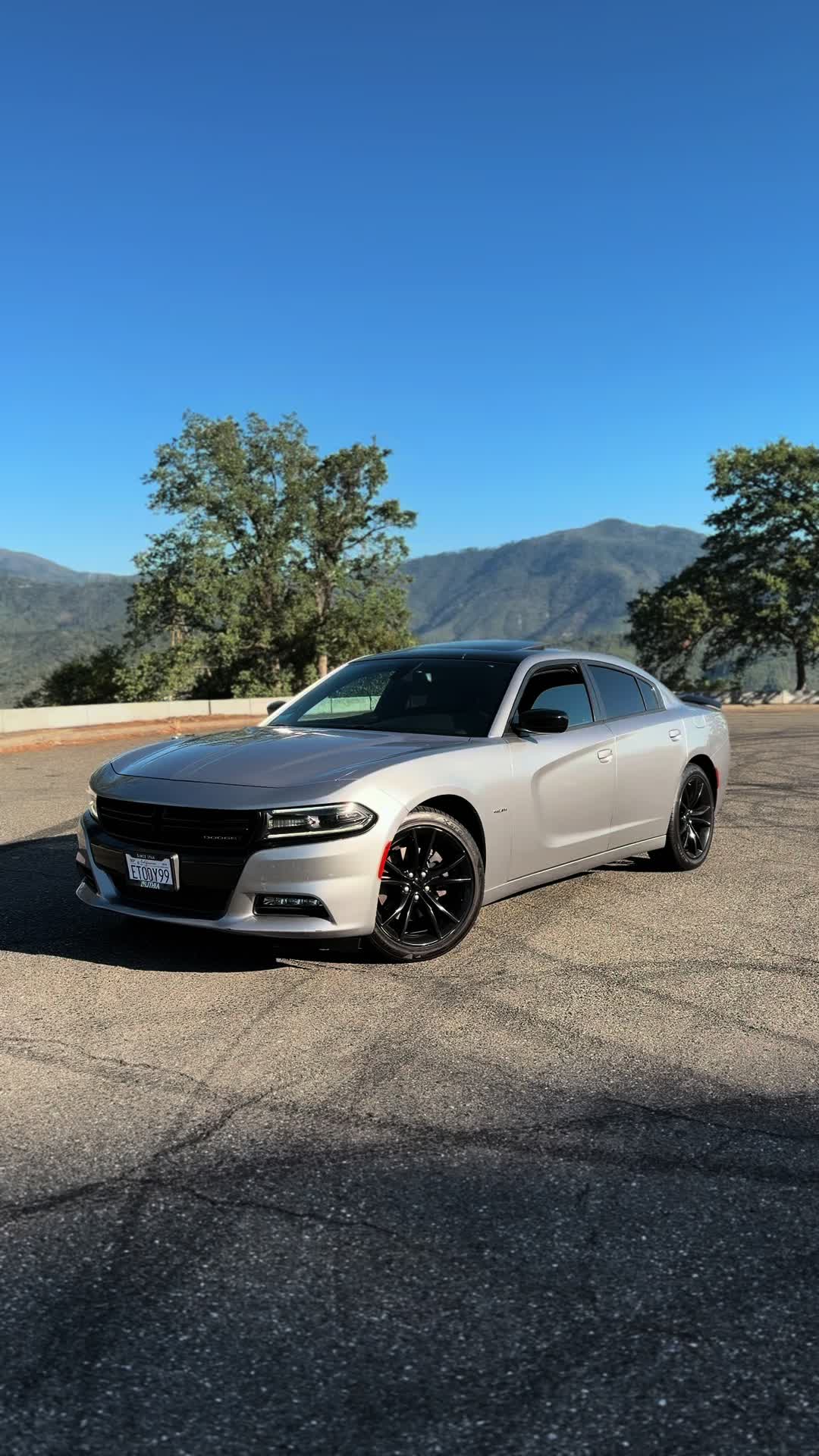 @HailsRt 🩶