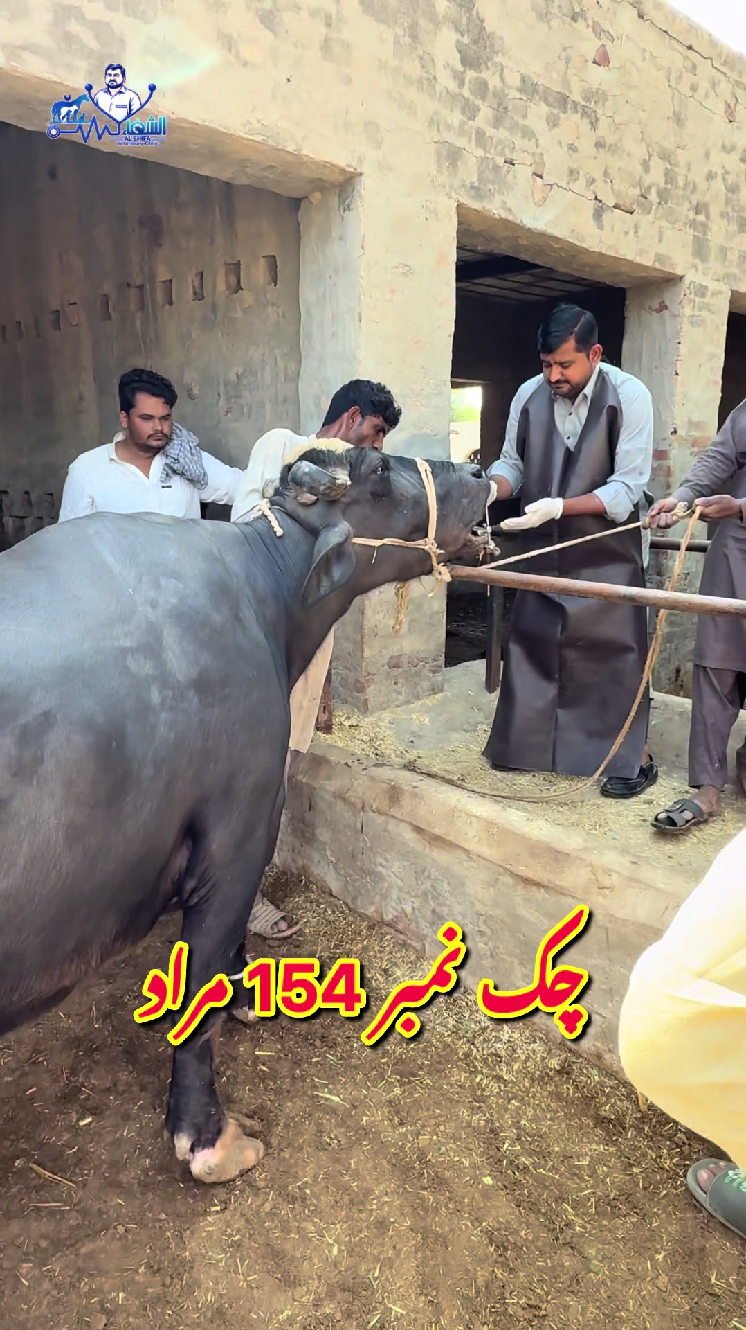 @Dr.Mohsin