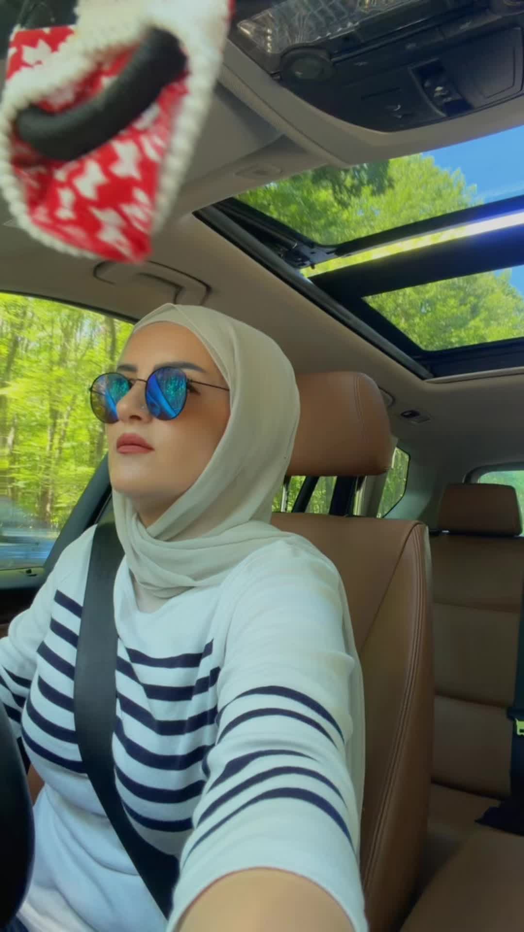 @tahanyalzaeim