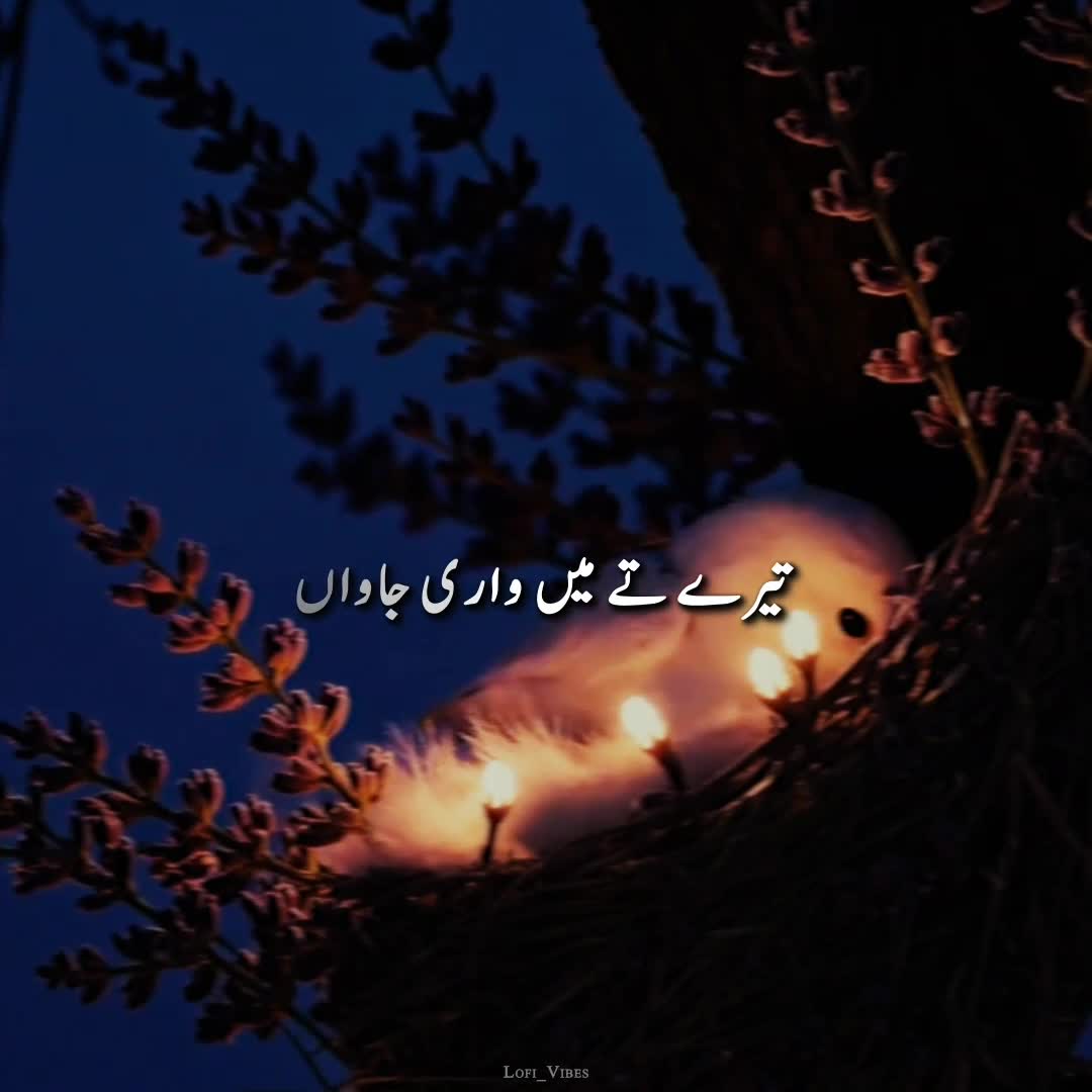 @lofi_Vibes