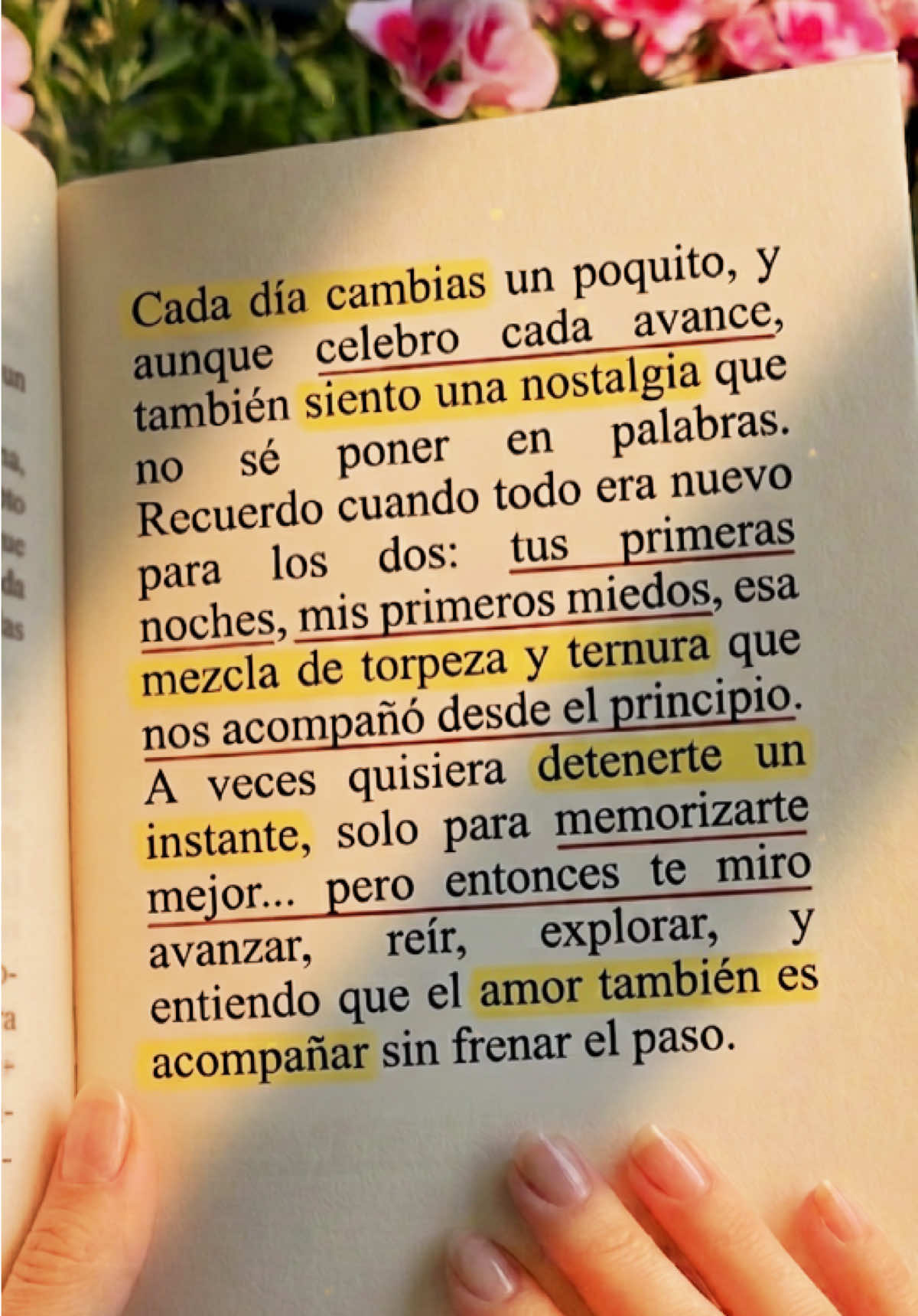 @SIEMPRE SER&Aacute;S T&Uacute; 🤍✨