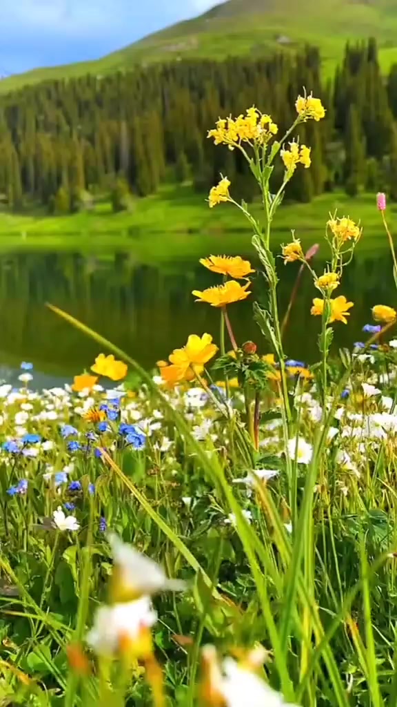 @Sibel.     27